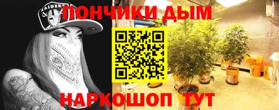 шишки Моздок
